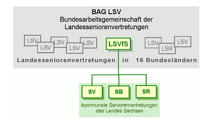 Grafik zur Struktur der Bundesarbeitsgemeinschaften der Landesseniorenvertretungen