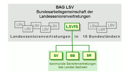 Struktur der Bundesarbeitsgemeinschaften der Landesseniorenvertretungen Grafik zur Struktur der Bundesarbeitsgemeinschaften der Landesseniorenvertretungen